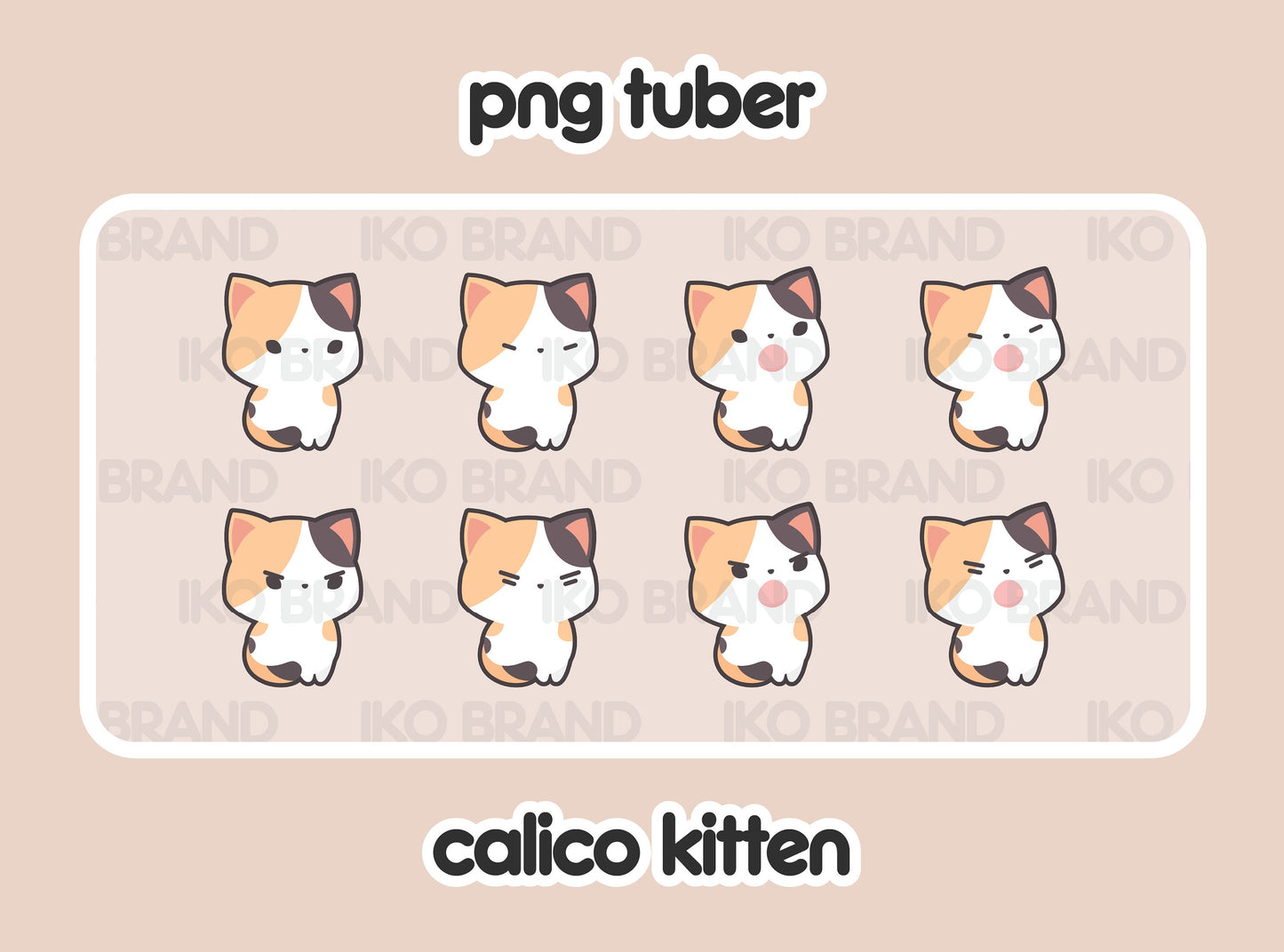Calico Kitten