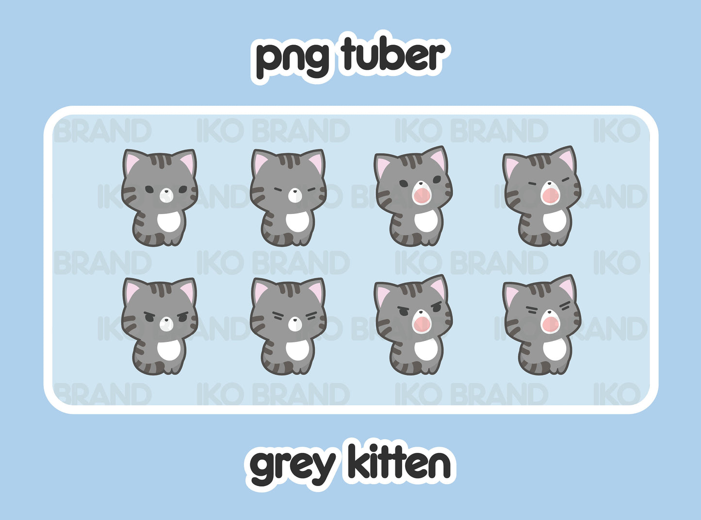 Grey Kitten