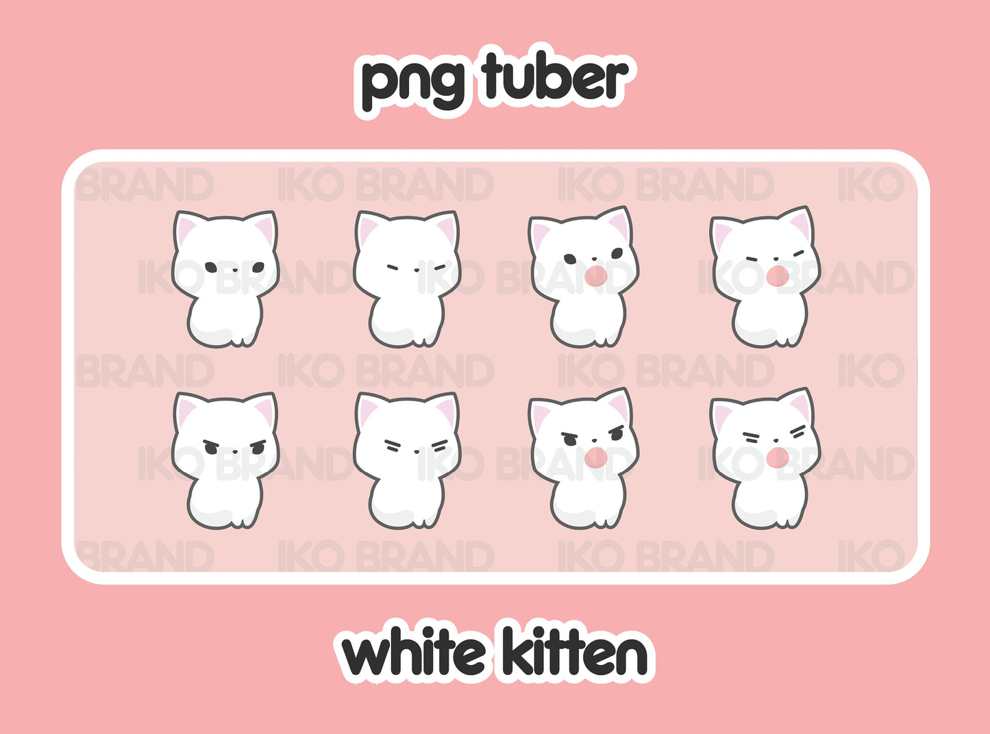 White Kitten