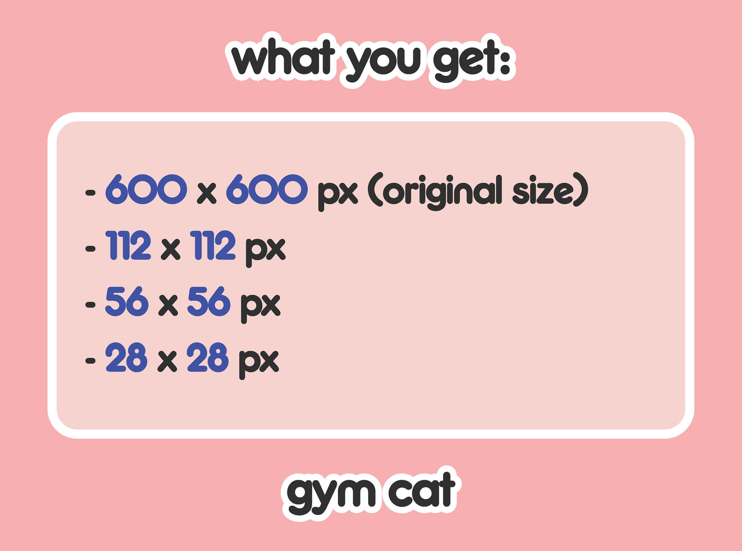 Gym Cat