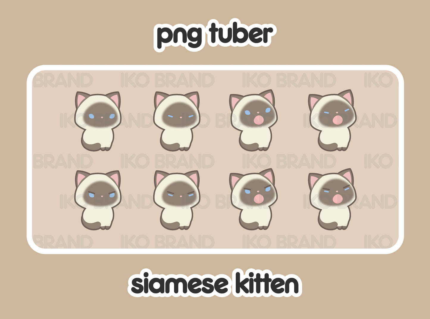 Siamese Kitten
