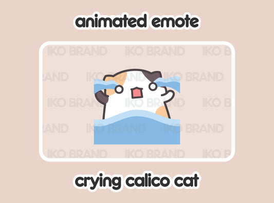 Crying Calico Cat