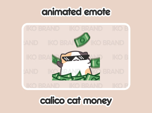 Calico Cat Rich Money Hype