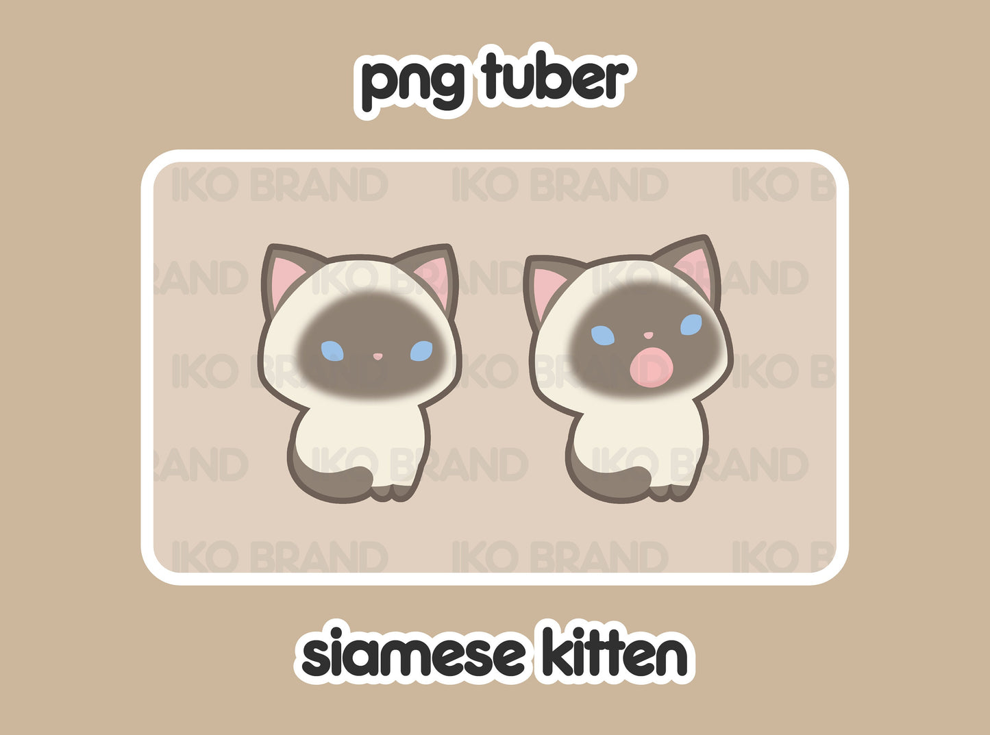Siamese Kitten