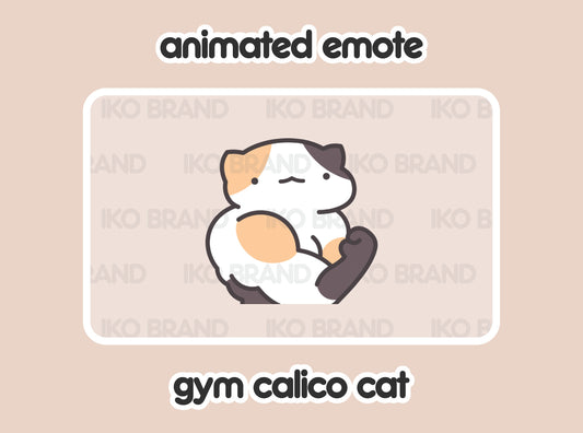 Gym Calico Cat