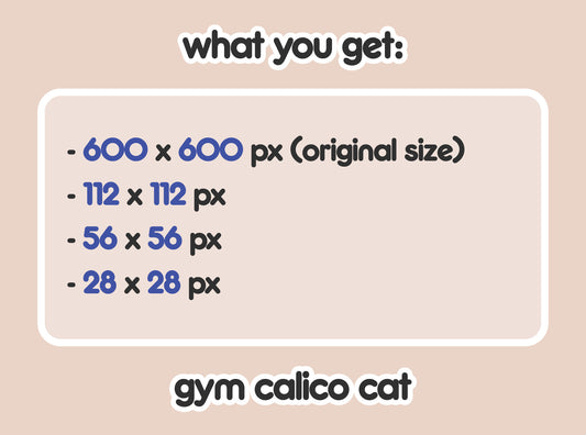 Gym Calico Cat