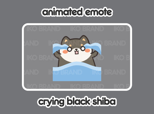 Crying Black Shiba Inu