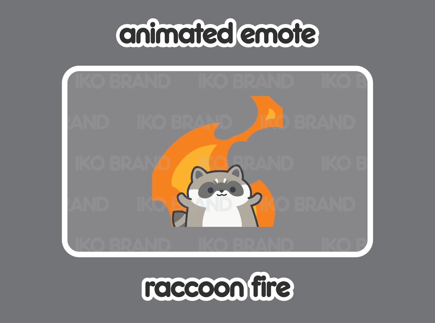 Raccoon Fire