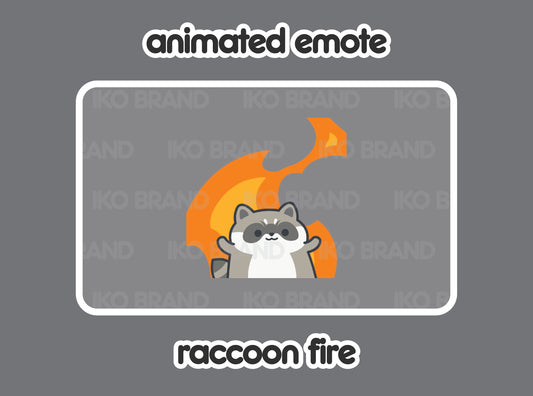 Raccoon Fire
