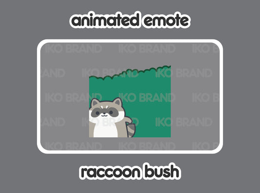 Raccoon Hiding Bush