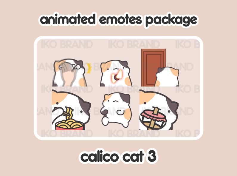 Calico Cat 3