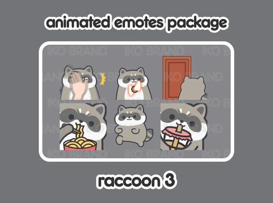 Raccoon 3