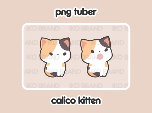 Calico Kitten