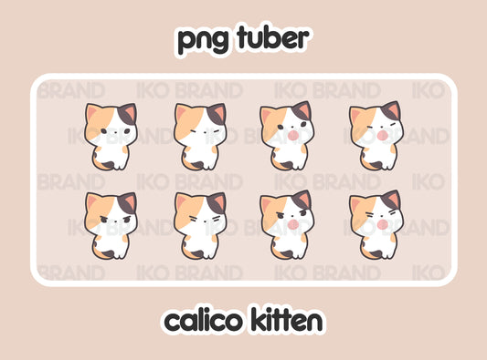Calico Kitten