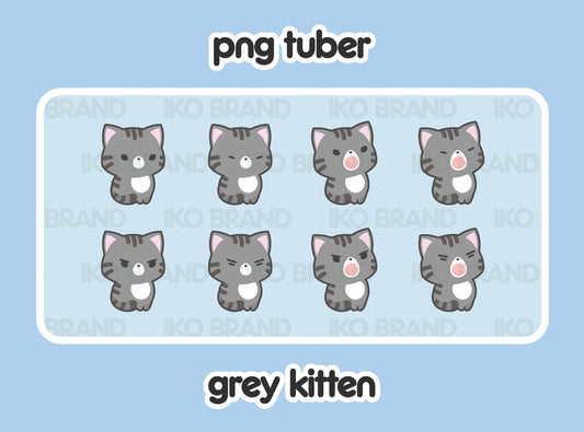 Grey Kitten