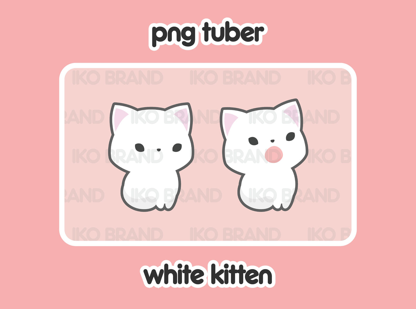White Kitten