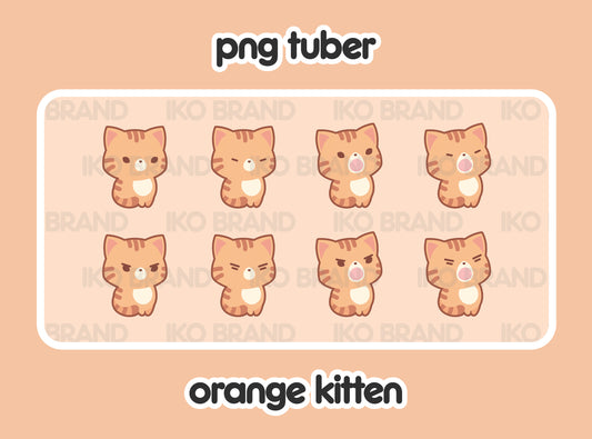 Orange Kitten