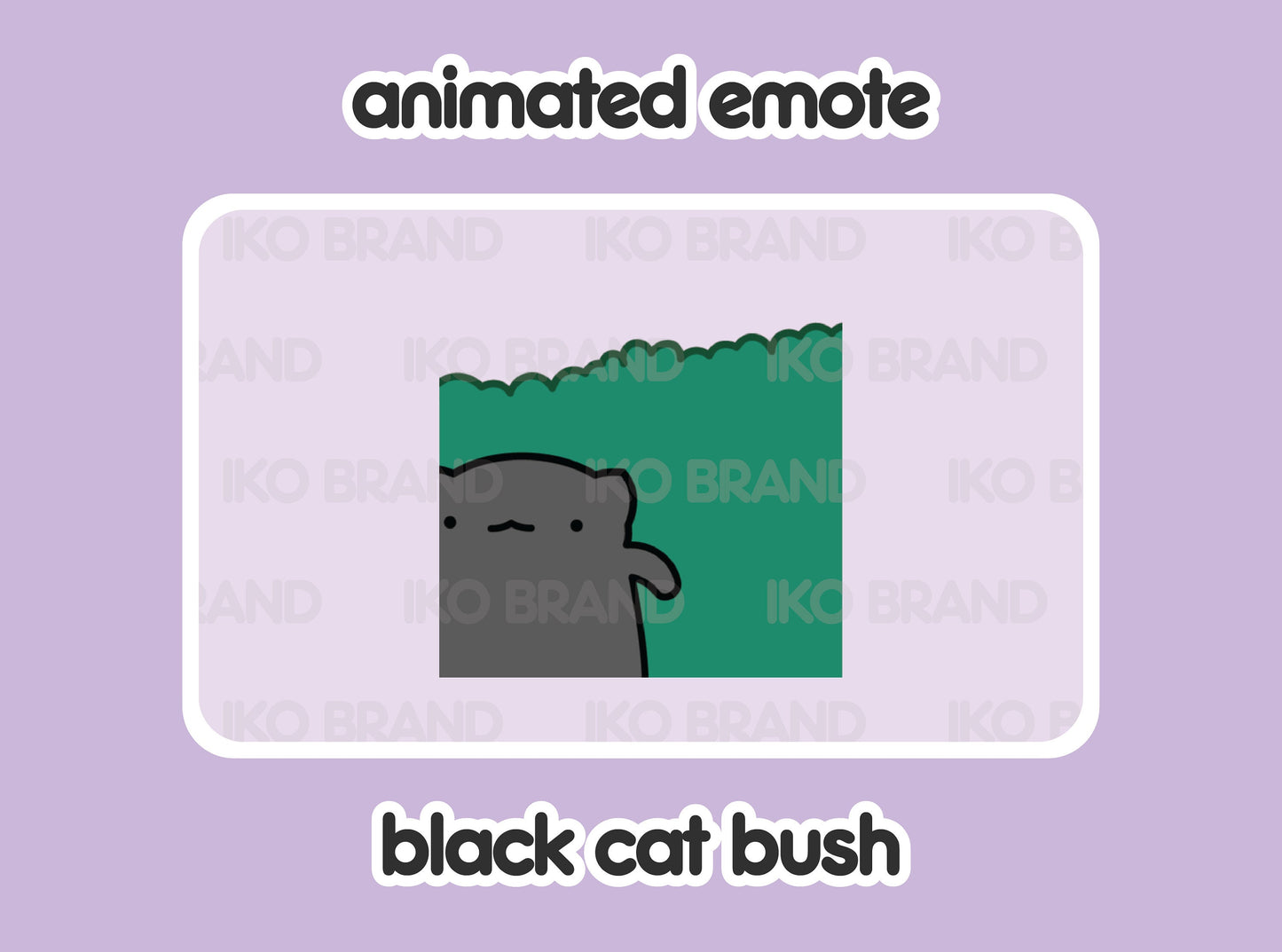 Black Cat Hiding Bush