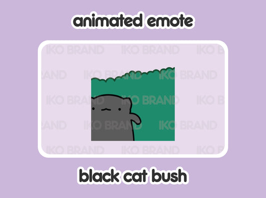 Black Cat Hiding Bush