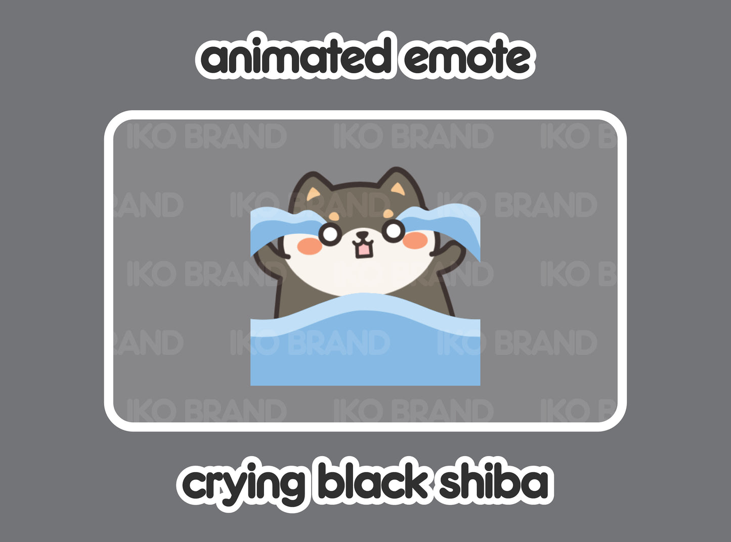 Crying Black Shiba Inu