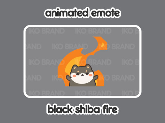 Black Shiba Inu Fire
