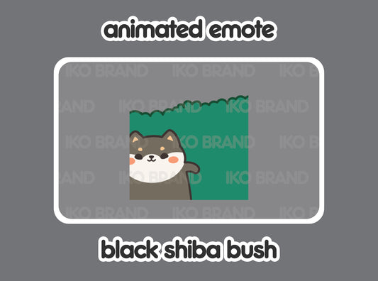 Black Shiba Hiding Bush