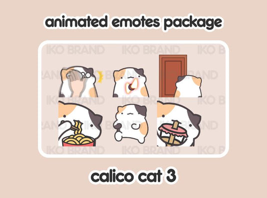 Calico Cat 3