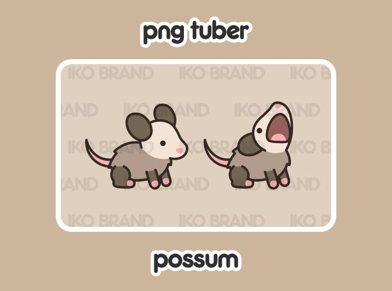 Possum